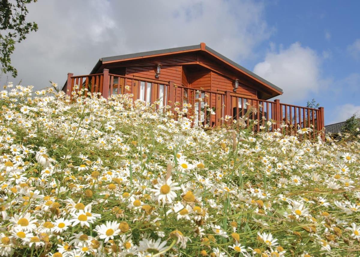 Hornbeam Country Park Hotel Honiton Exterior foto
